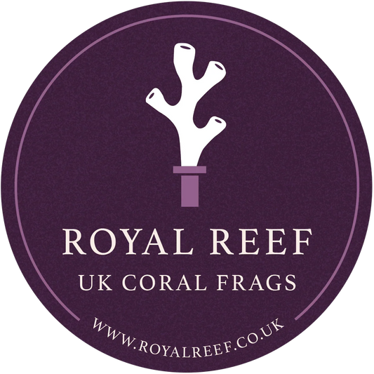 Circle logo featuring a white coral frag graphic and text UK coral frags on purple background.