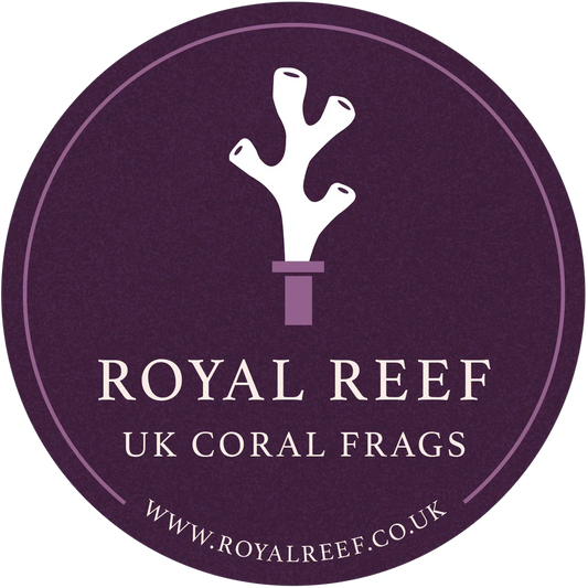 Purple round logo with white coral graphic, text reads UK coral frags, Royal Reef, website URL