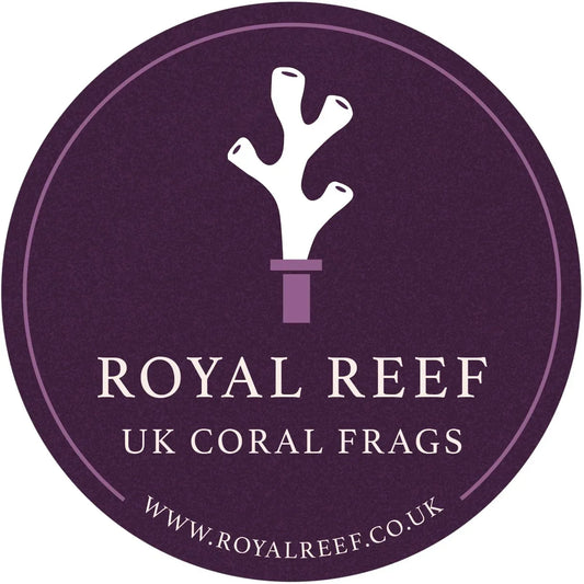 Purple round logo with white coral graphic and text reading UK coral frags, Royal Reef, www.royalreef.co.uk