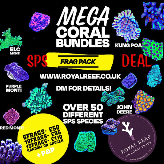 SPS CORAL 5/10/15 PACK - Royal Reef