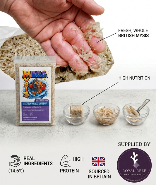 MEGA Mysis 250g Slab (Frozen)
