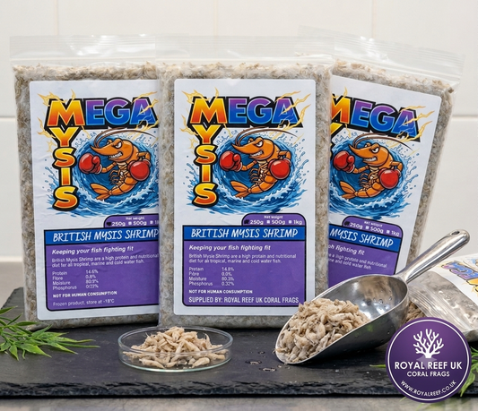 MEGA Mysis 250g Slab (Frozen)