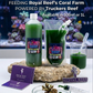 Phytoplankton