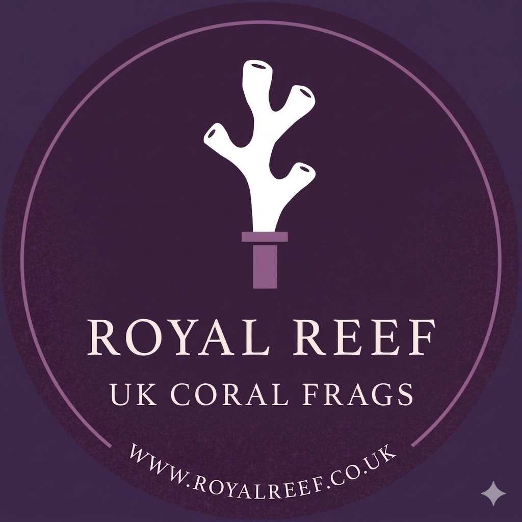 Royal Reef UK Coral Frags logo with white coral icon on purple background