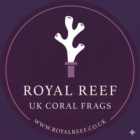 Royal Reef UK Coral Frags logo with white coral icon on purple background