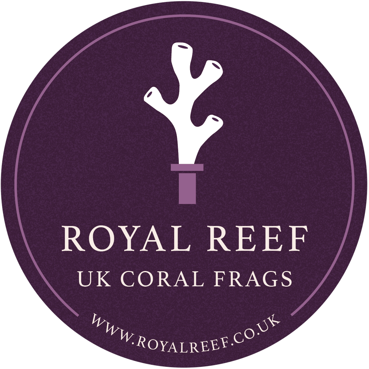 CB Omega Zoa 3+ Heads - Royal Reef