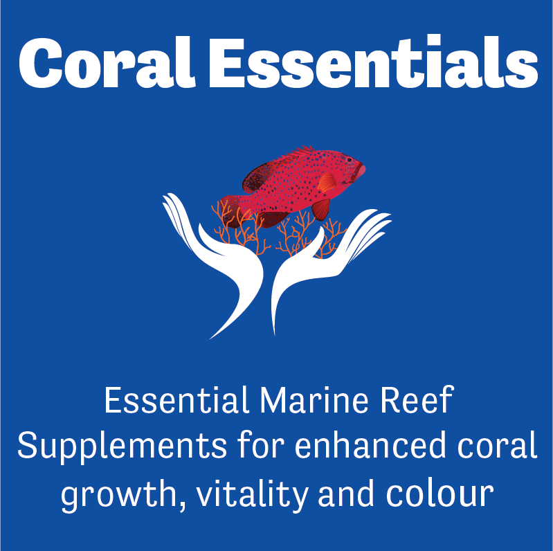 Coral Essentials Coral Power Bacteria Food - Royal Reef