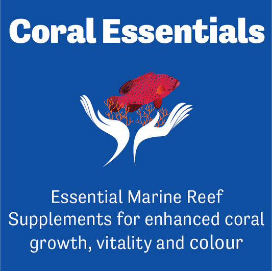 Coral Essentials Coral Power Gro - Royal Reef