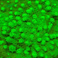 Kryptonite Cyphastrea