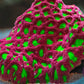 War Coral Red with Lime Green Eyes - Royal Reef