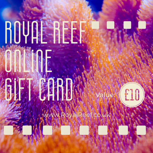 Royal Reef Online Gift Card £10/£25/£50/£100 - Royal Reef