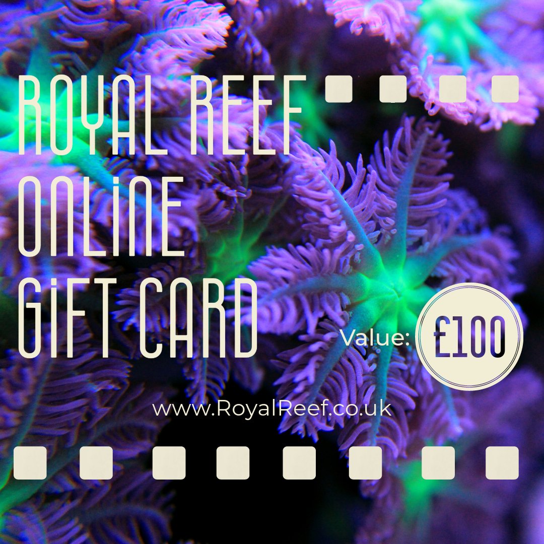 Royal Reef Online Gift Card £10/£25/£50/£100 - Royal Reef