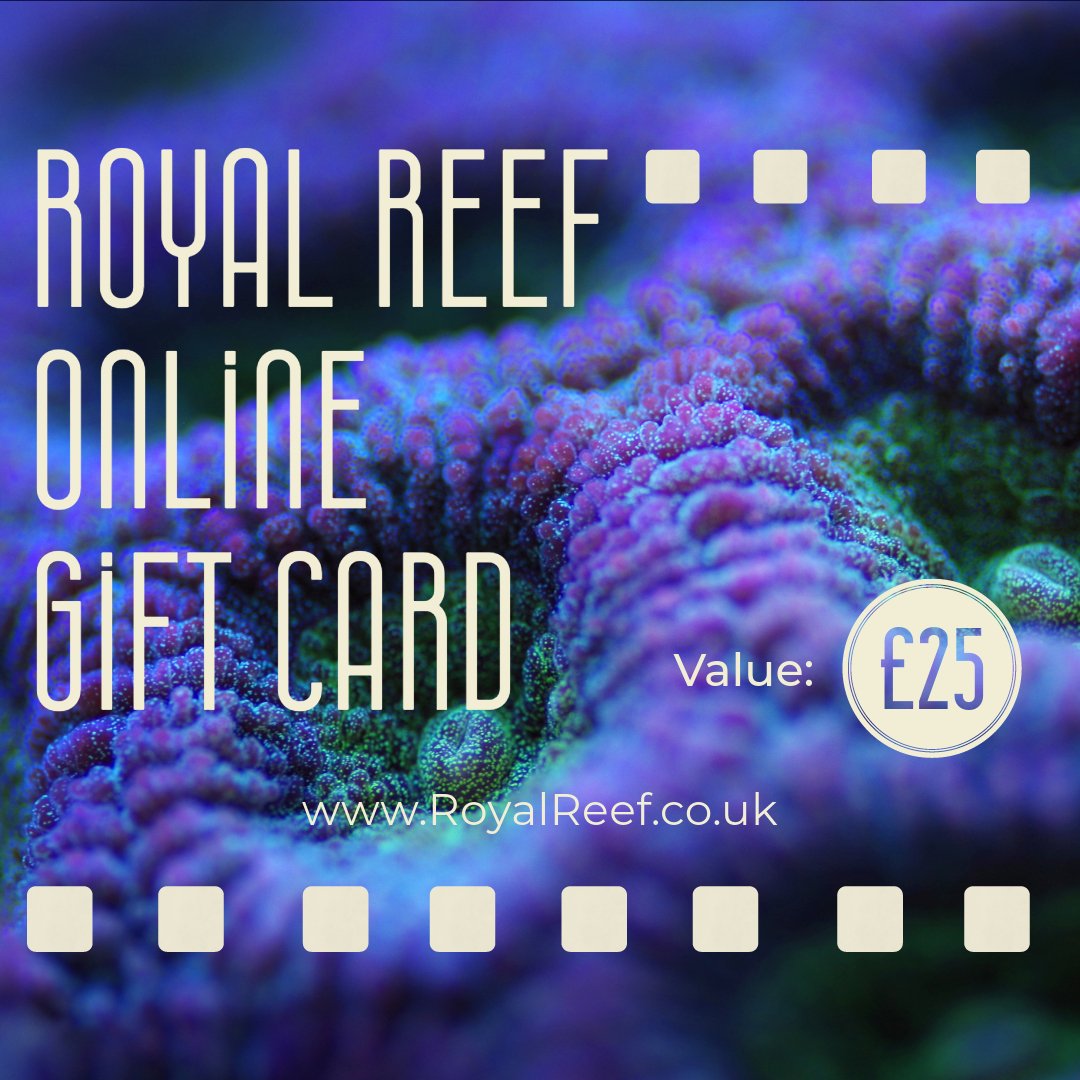 Royal Reef Online Gift Card £10/£25/£50/£100 - Royal Reef