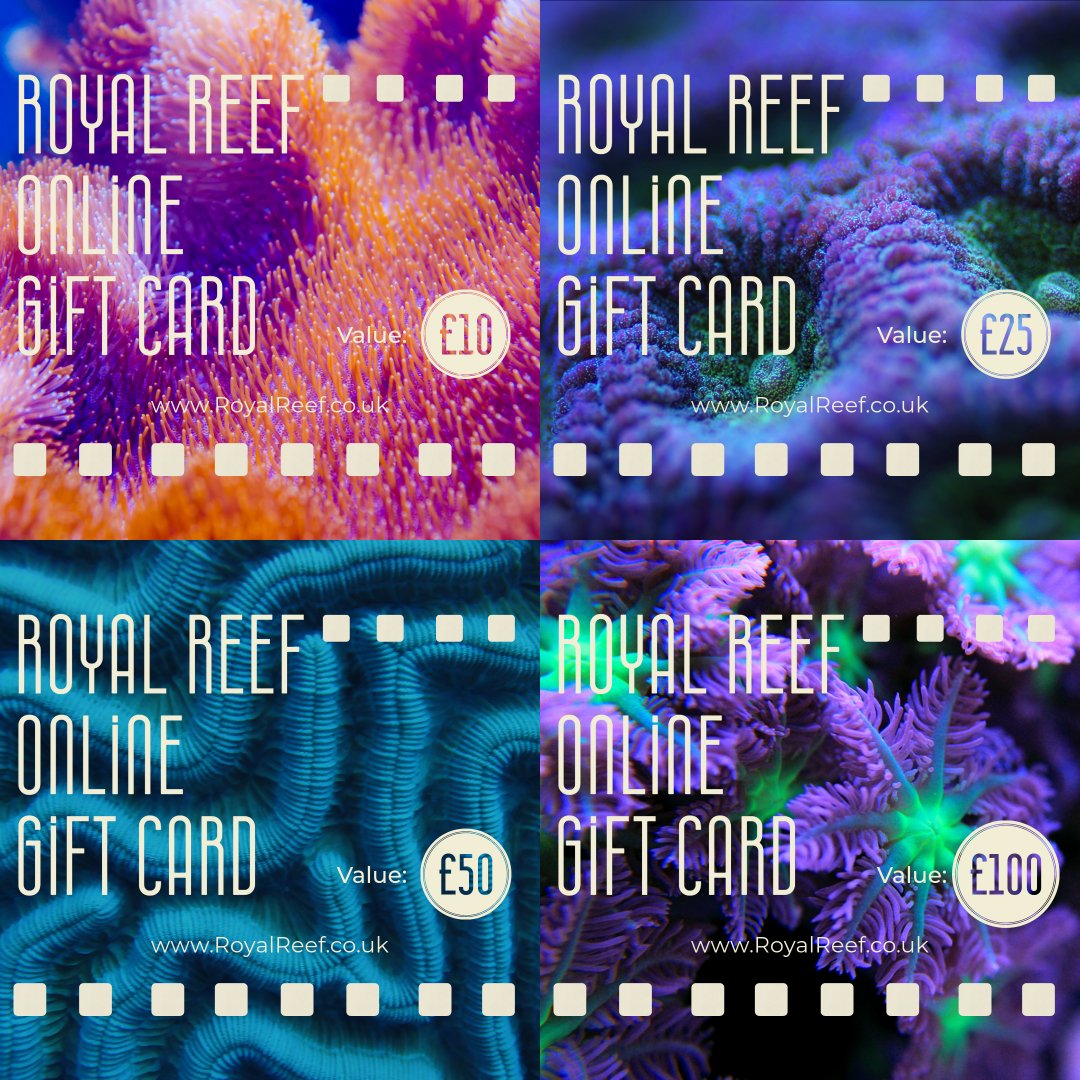 Royal Reef Online Gift Card £10/£25/£50/£100 - Royal Reef